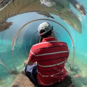 Meet your Posher, Cesar